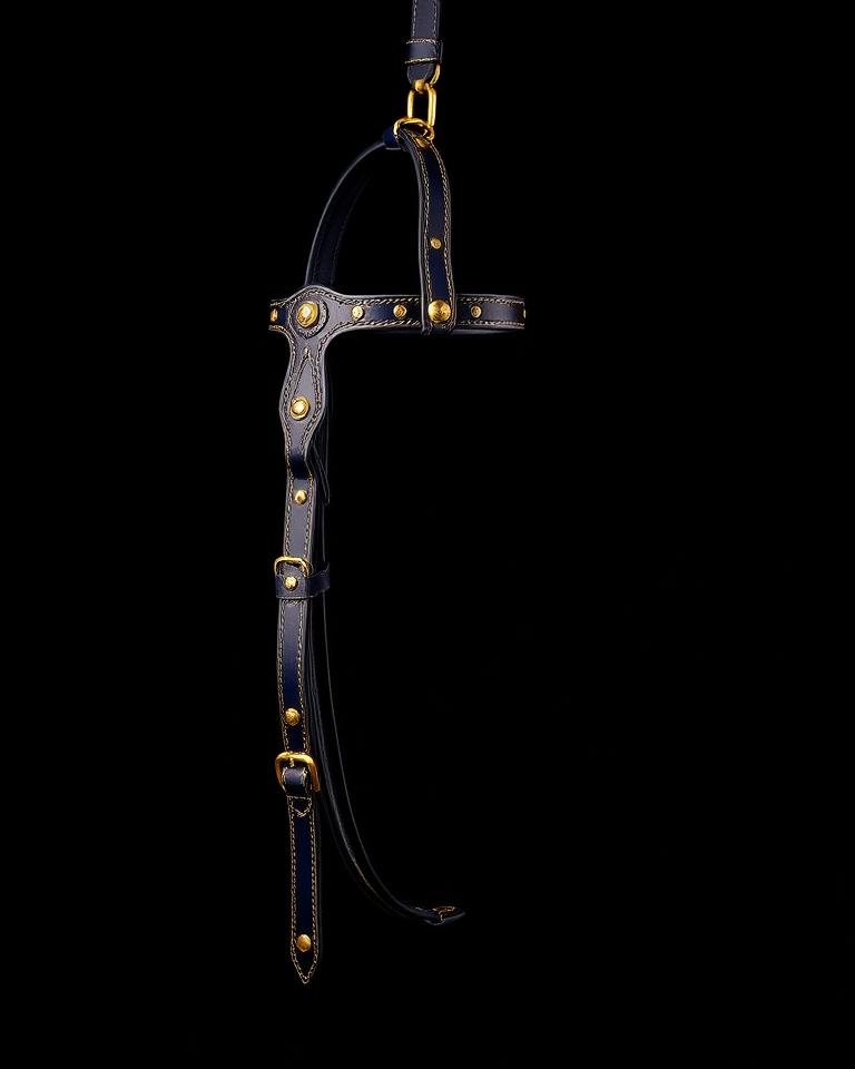 Royal Show Bridle